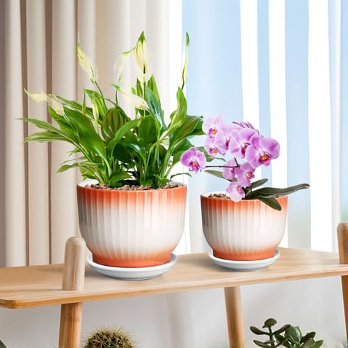 Blue White Ceramic Plant Pots Set of 2 W61747