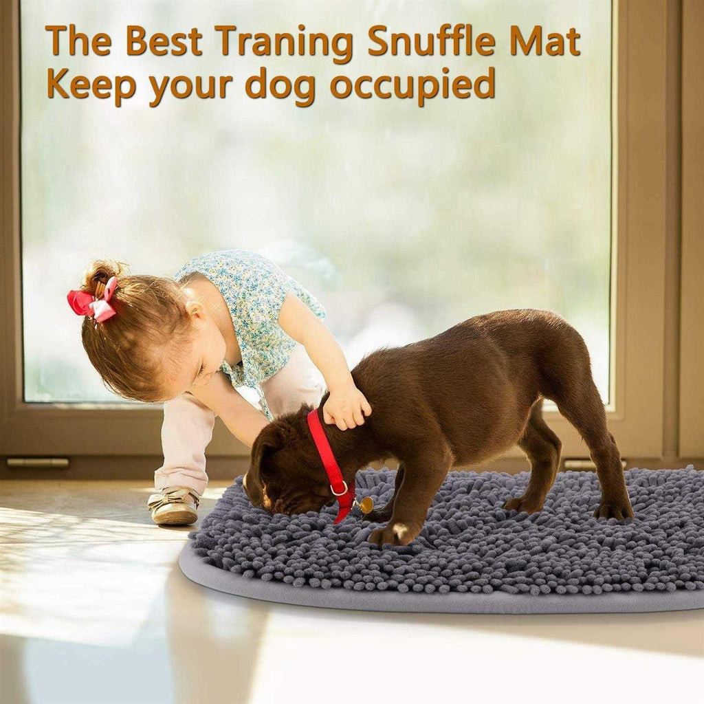 17'' x 21'' Snuffle Mat for Dogs I358016
