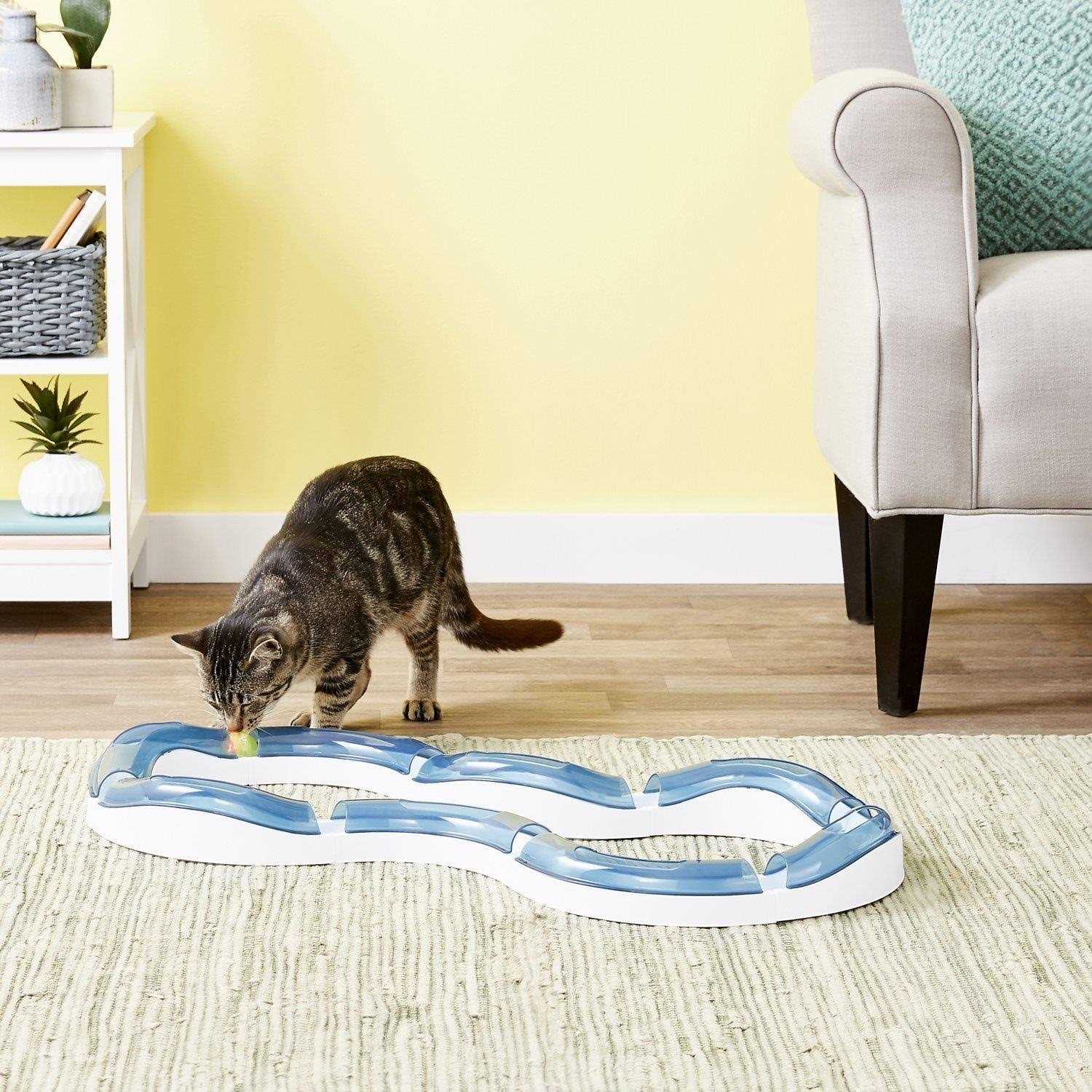Super Roller Circuit Cat Toy C698019