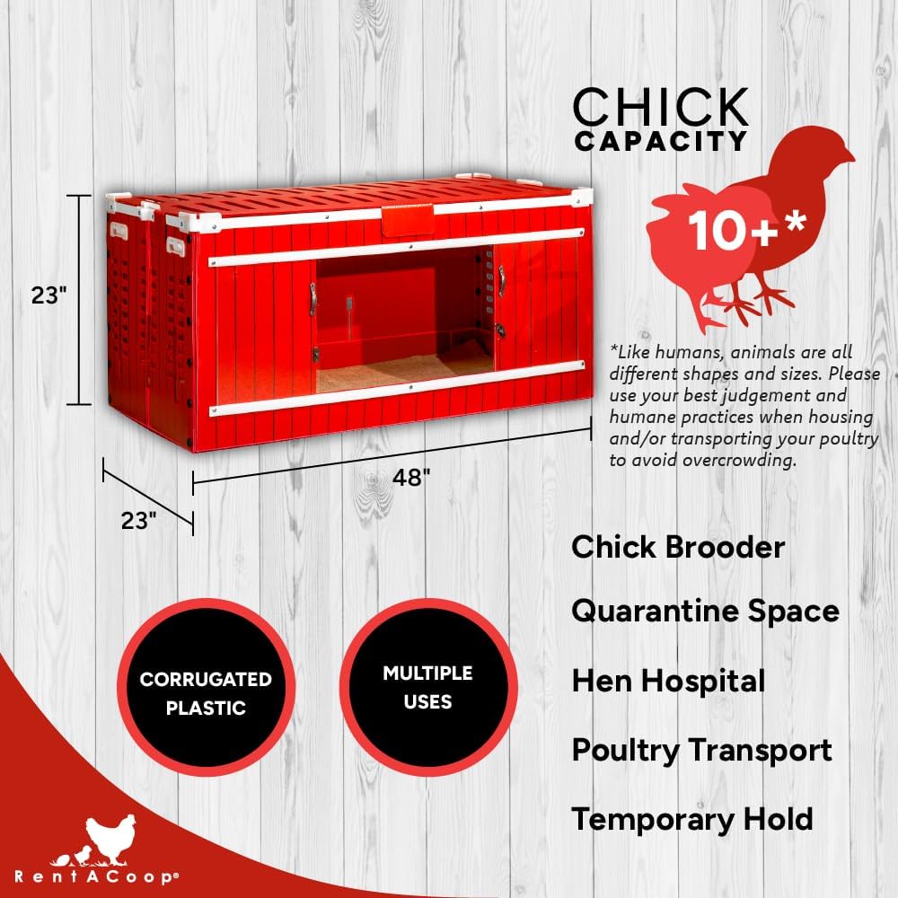 Big Red Barn Chick Brooder Set with Chick Heating Plate, Two 2.5 Pound Chick Feeders, Two 64 Ounce Chick Drinkers, and Jute Liner G33742