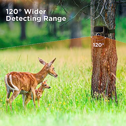 2K 36MP Trail Camera with Night Vision D54726