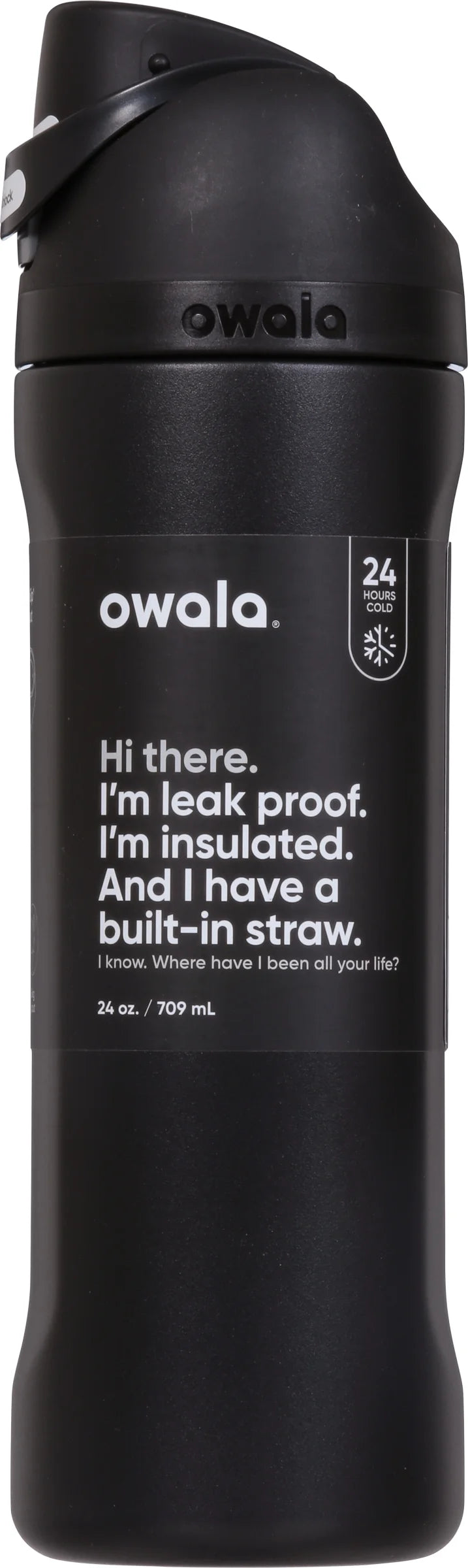 24oz Stainless Steel Water Bottle Black E172