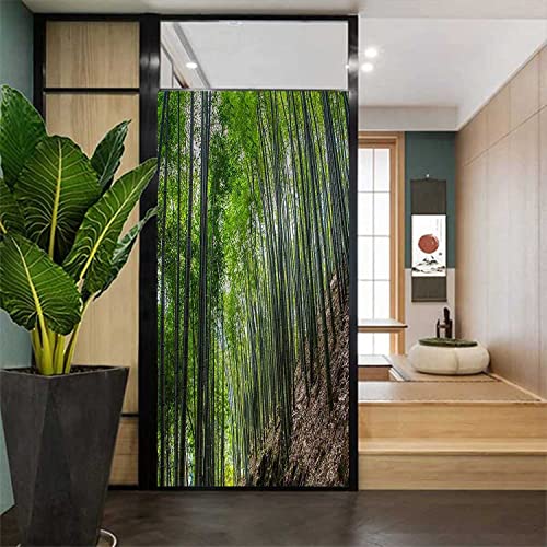 17.7" by 39" Bamboo Green Window Film Z9527