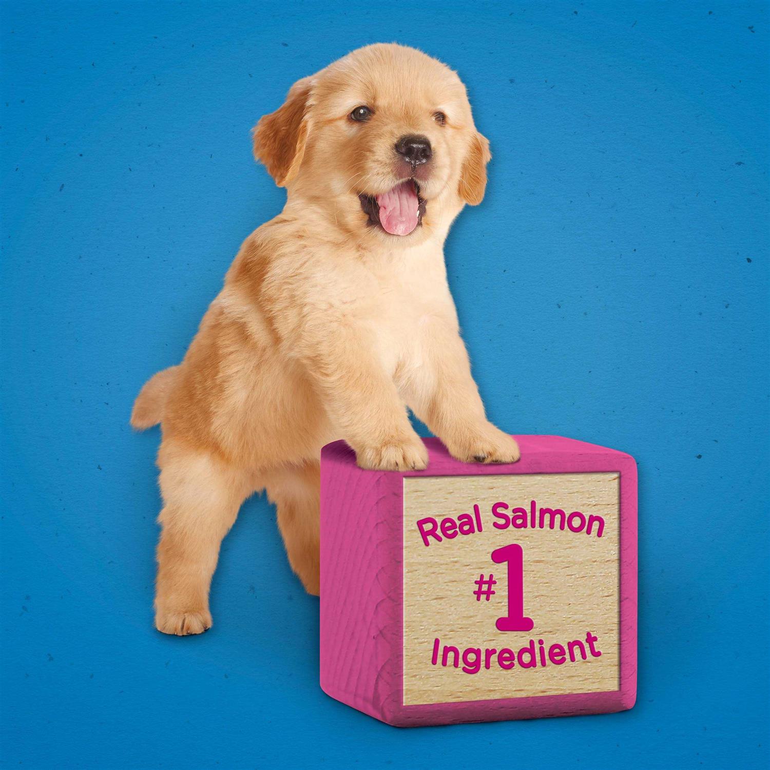Puppy Chow Dog Training Treats P951