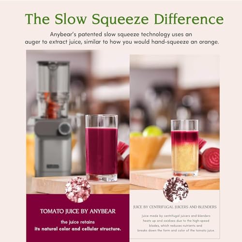 Cold Press Juicer, 200W Masticating Juicer with 2 Auger, Tritan Materials V39813