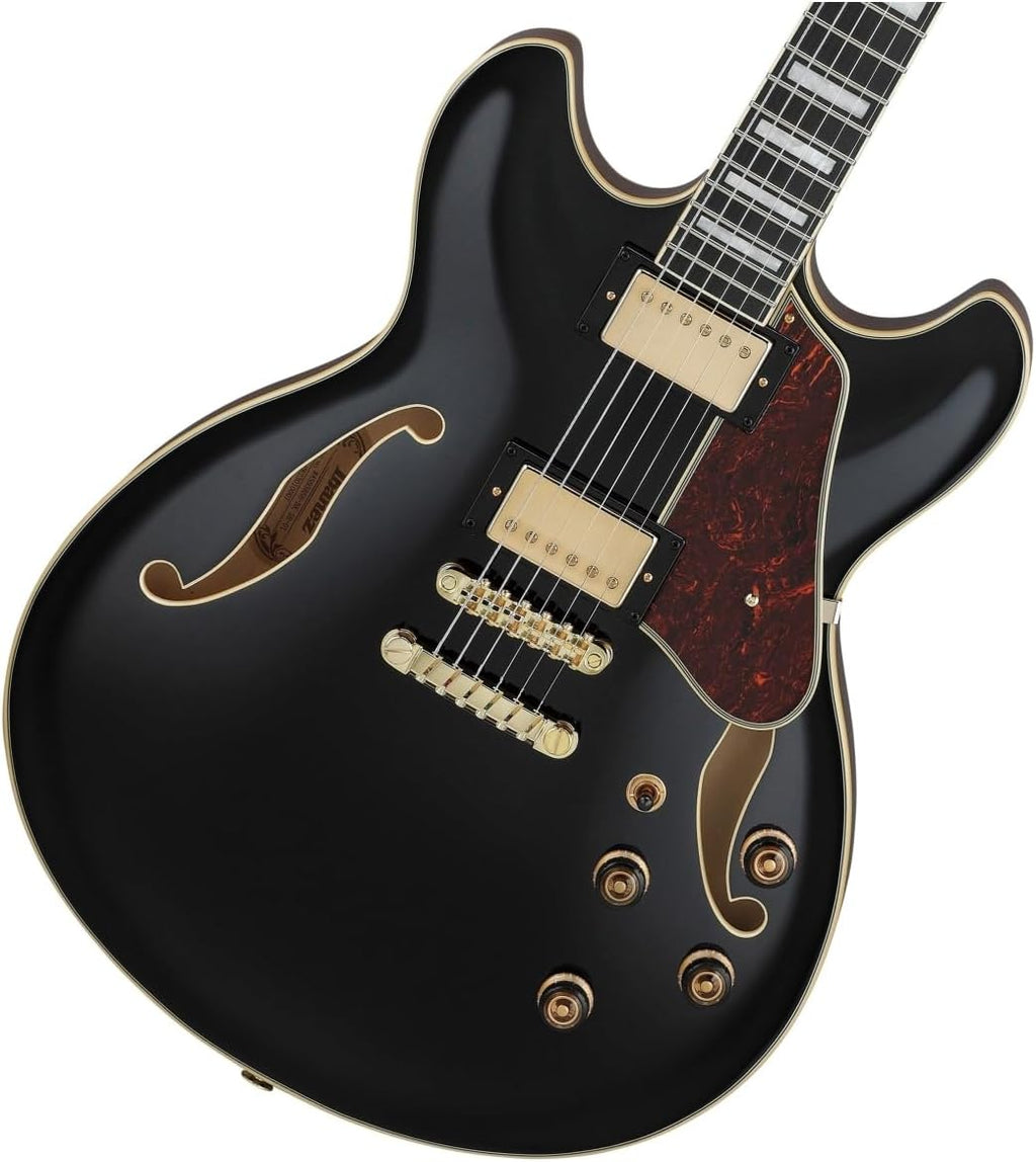 Black Semi-hollowbody Electric Guitar E4390