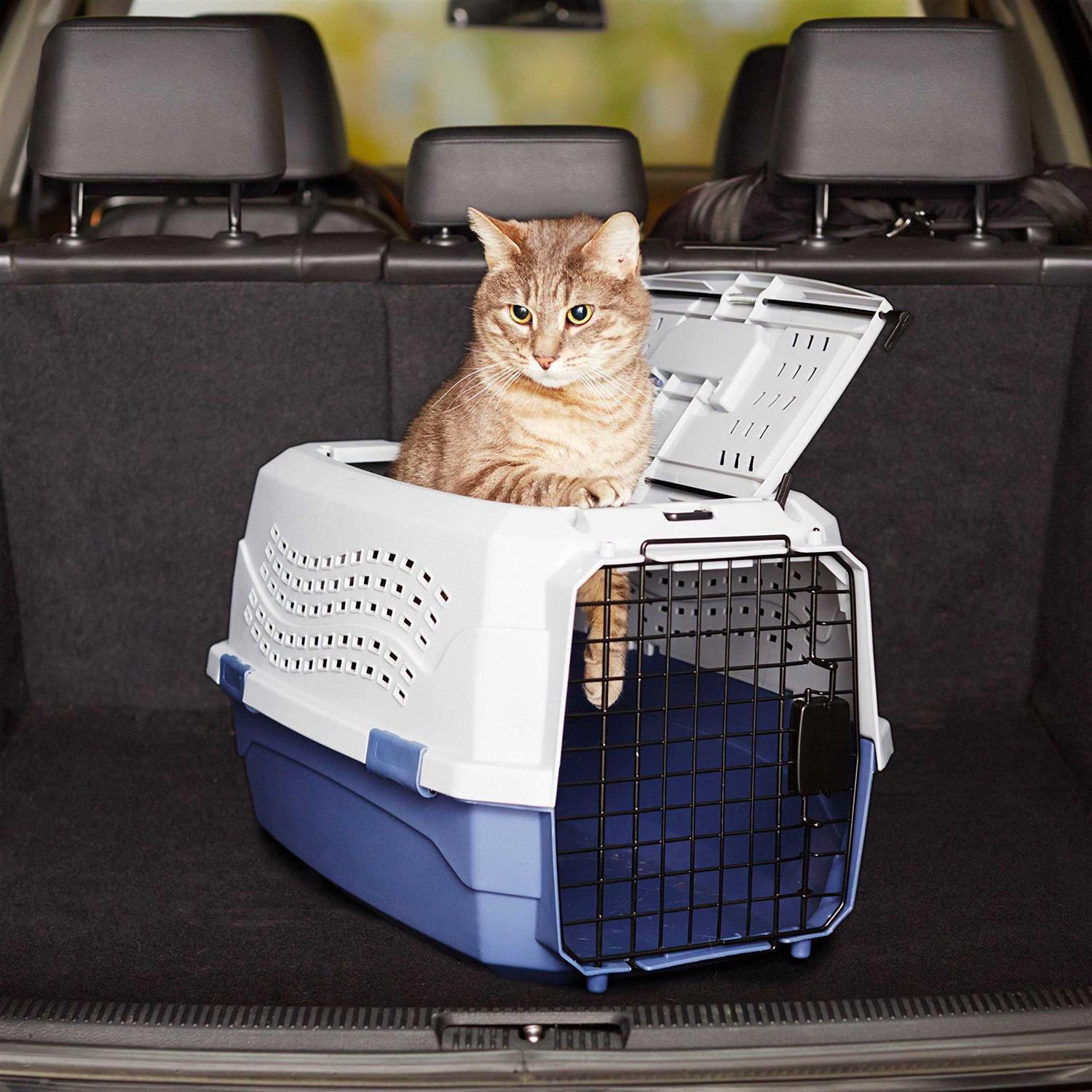 Two-Door Top-Load Hard-Sided Pet Travel Carrier X14070