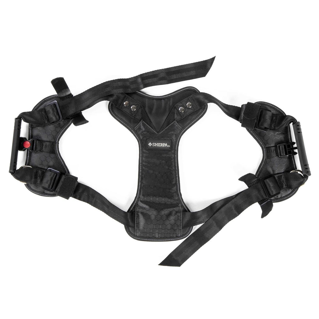 Sherpa Crash Tested Seatbelt Safety Harness C441424