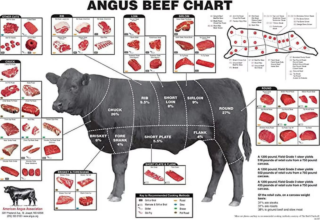 Angus Beef Cuts Of Meat Chart Poster 18x24 D102070