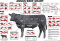 Angus Beef Cuts Of Meat Chart Poster 18x24 D102070