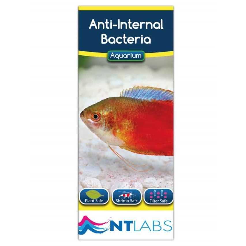 Swimbladder 134 GR Z127851