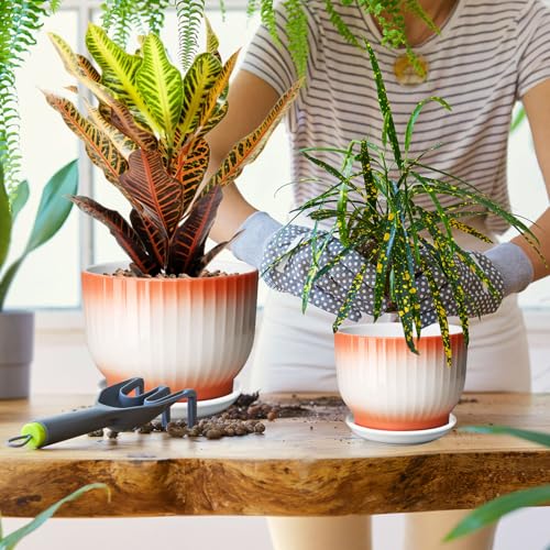 Blue White Ceramic Plant Pots Set of 2 W61747