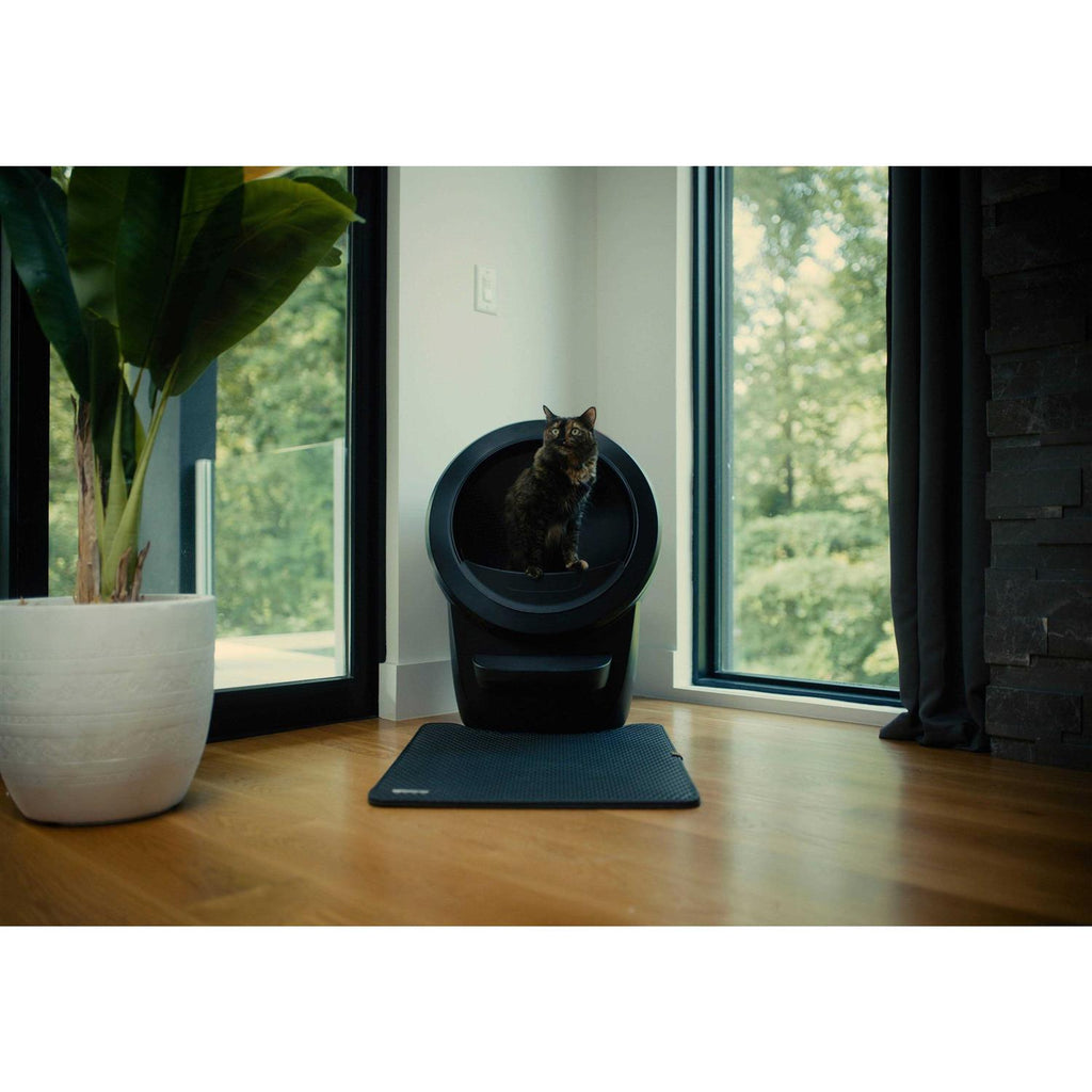 Cat Mat J436
