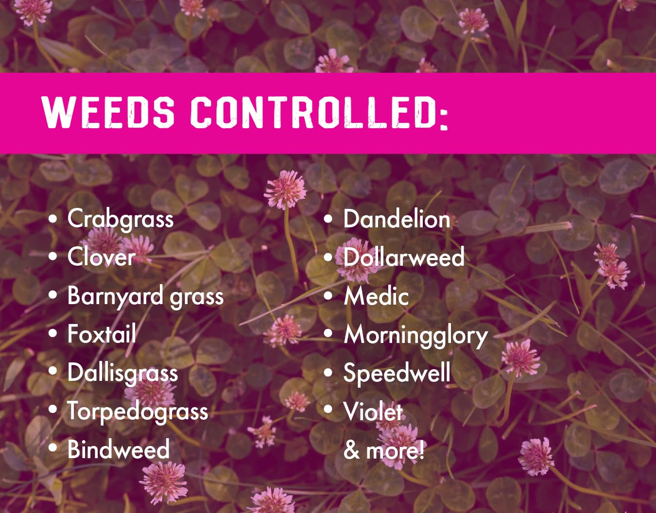 64 ounces Concentrated Crabgrass Herbicide B934