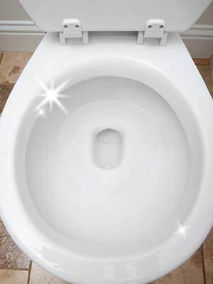 3.5 Ounce 6 Pack Toilet Bowl Cleaner Tablet Y644