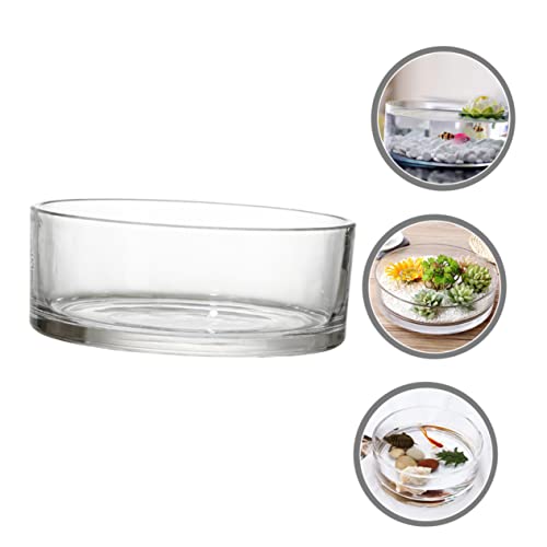 Round Glass Hydroponic Vase Terrarium Planter M731846