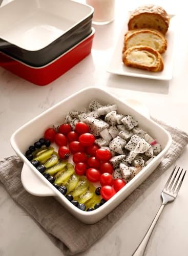 8x8 inch Square Porcelain Baking Dish with Double Handles D9516
