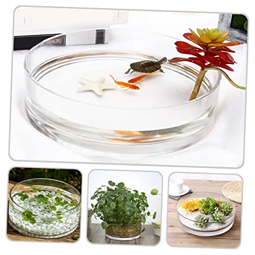 Round Glass Hydroponic Vase Terrarium Planter M731846