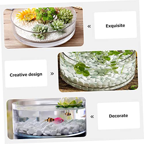 Round Glass Hydroponic Vase Terrarium Planter M731846