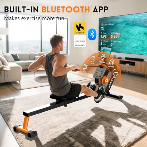 Magnetic Rower with LCD Monitor D139