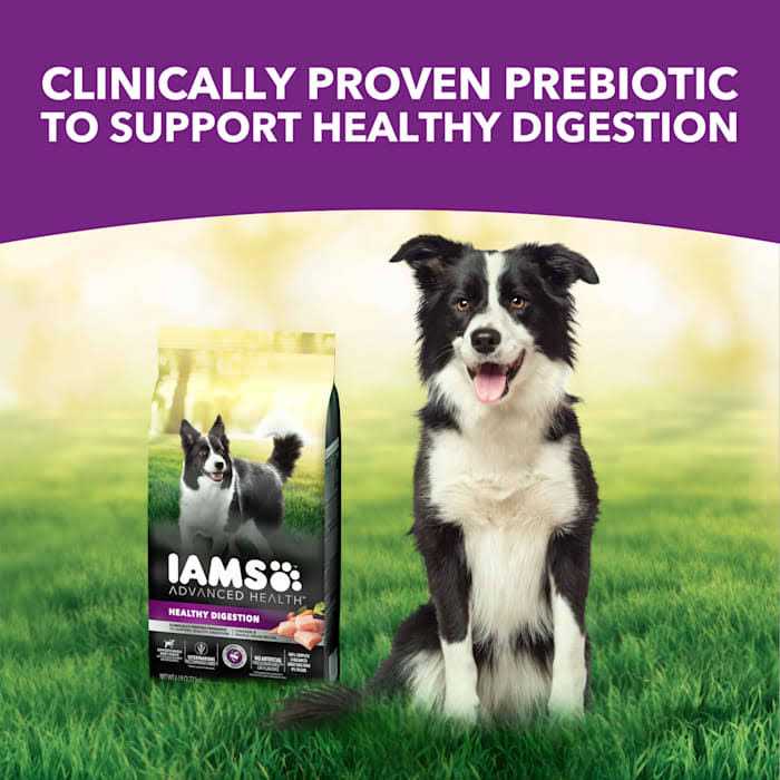 Advanced Health Adult Dry Dog Food with Real Chicken A784501