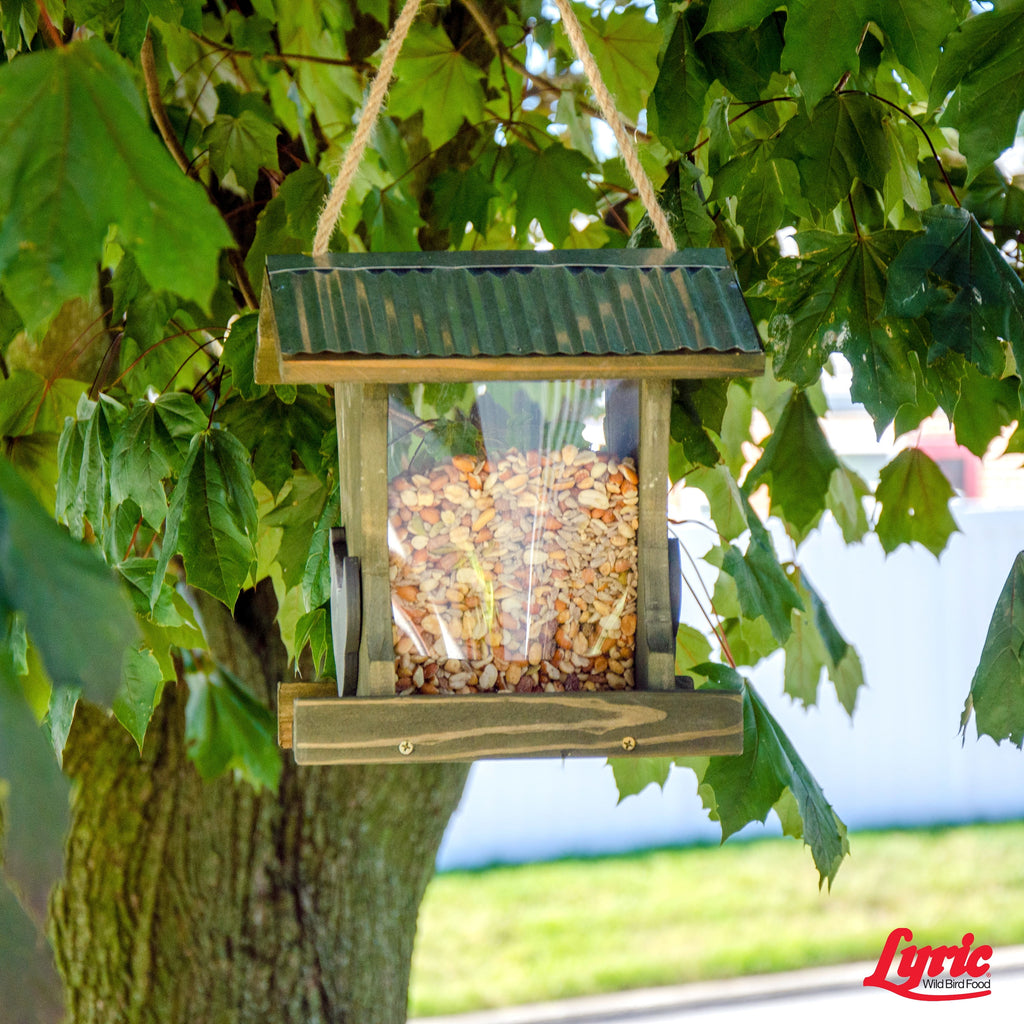 20 lb. No Waste Bird Seed with Shell-Free Nuts & Seeds U8326