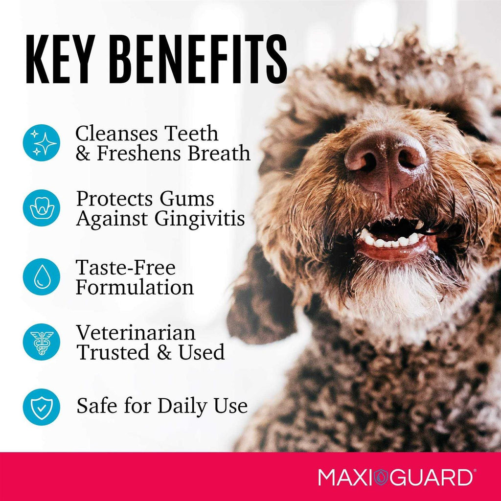 Cat Dog & Small Pet Dental Gel S953303