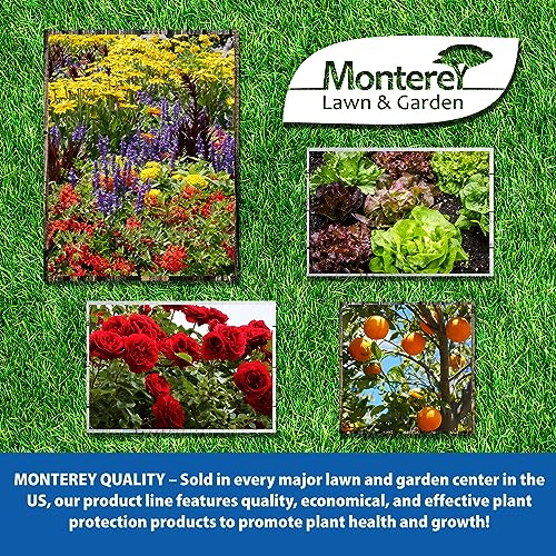 One Pint Spurge Power Herbicide Z337