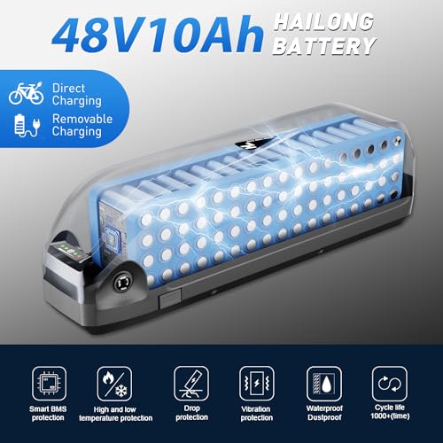 48V 10Ah/13Ah Lithium Ion Ebike Battery with Charger S271