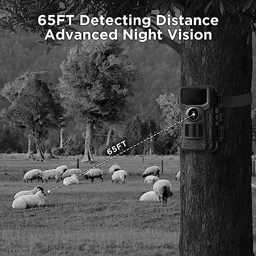 2K 36MP Trail Camera with Night Vision D54726