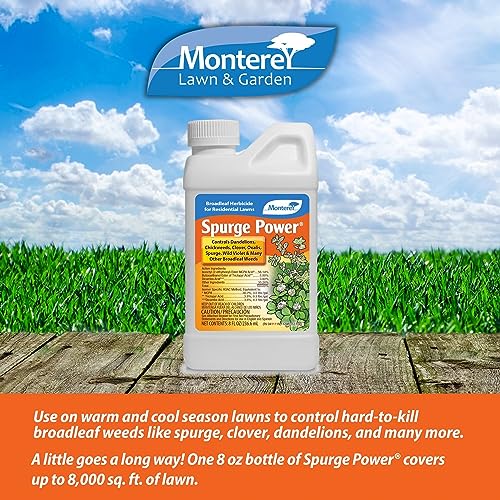 One Pint Spurge Power Herbicide Z337