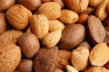 Raw In-shell Whole Mixed Nuts 4 LB L84608