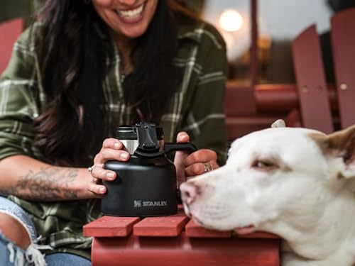 20 oz Insulated Stainless Steel Coffee Cup with Twist-on Lid C20362