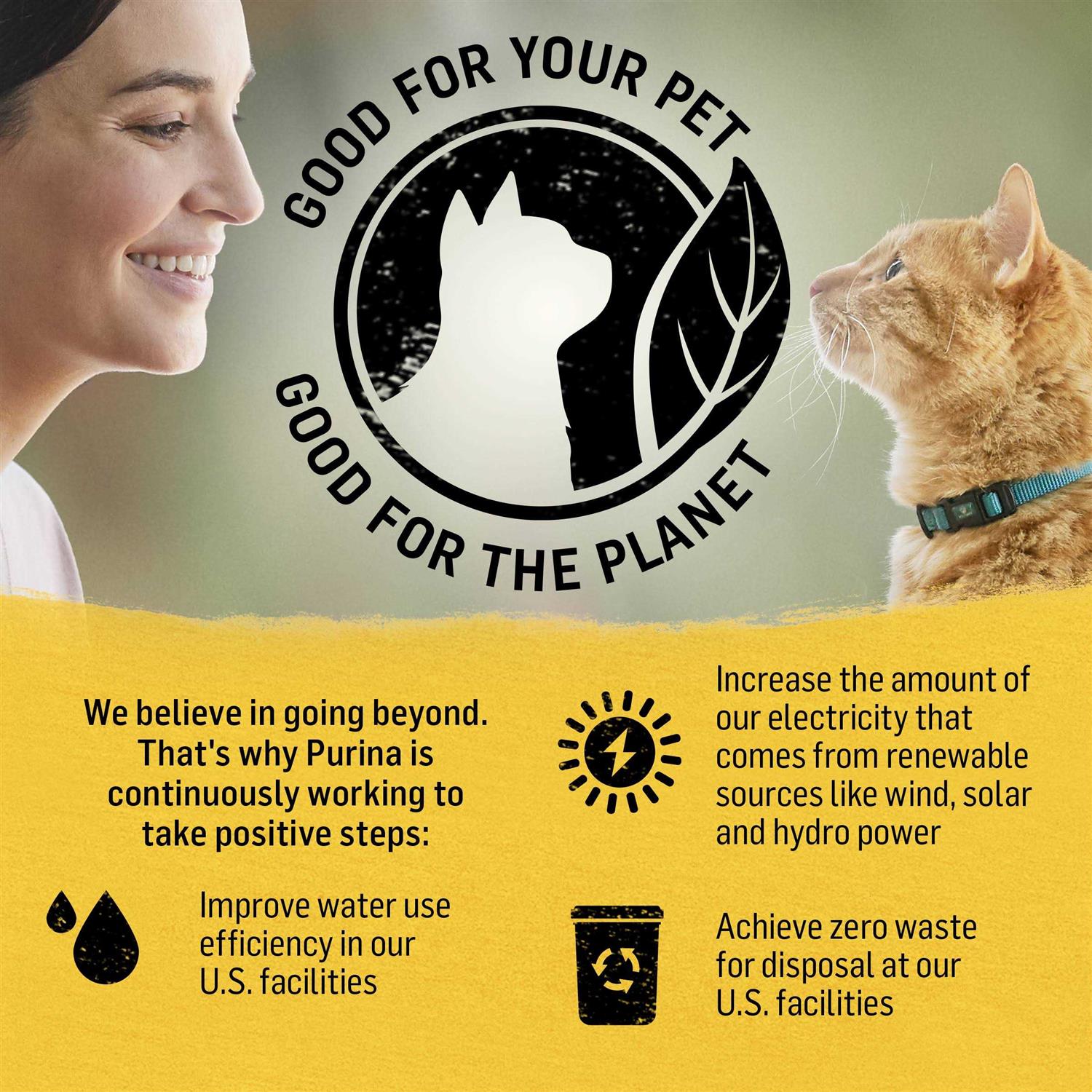 Cat Dry Food S45682