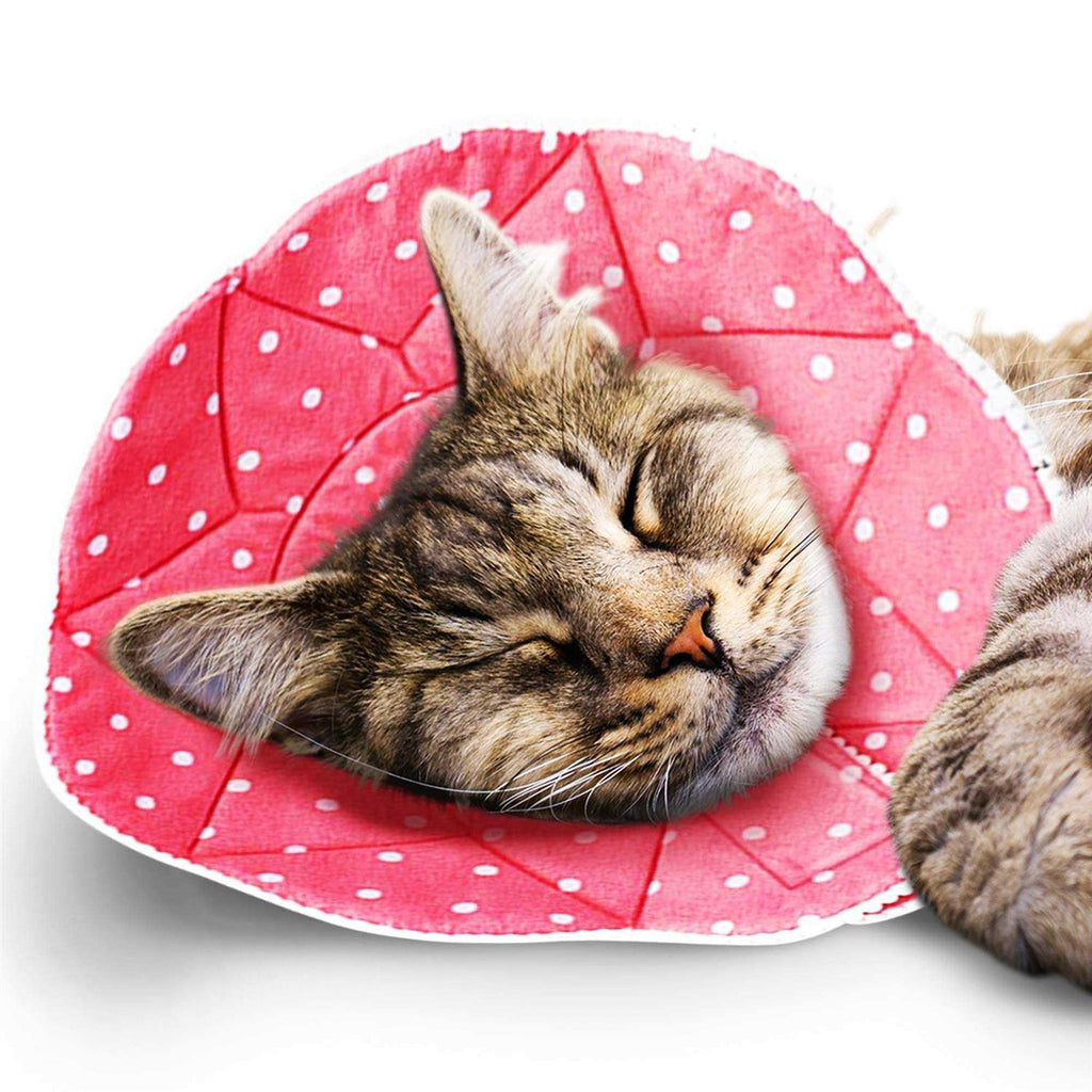 Soft e Collar for Small Dogs & Cats U534