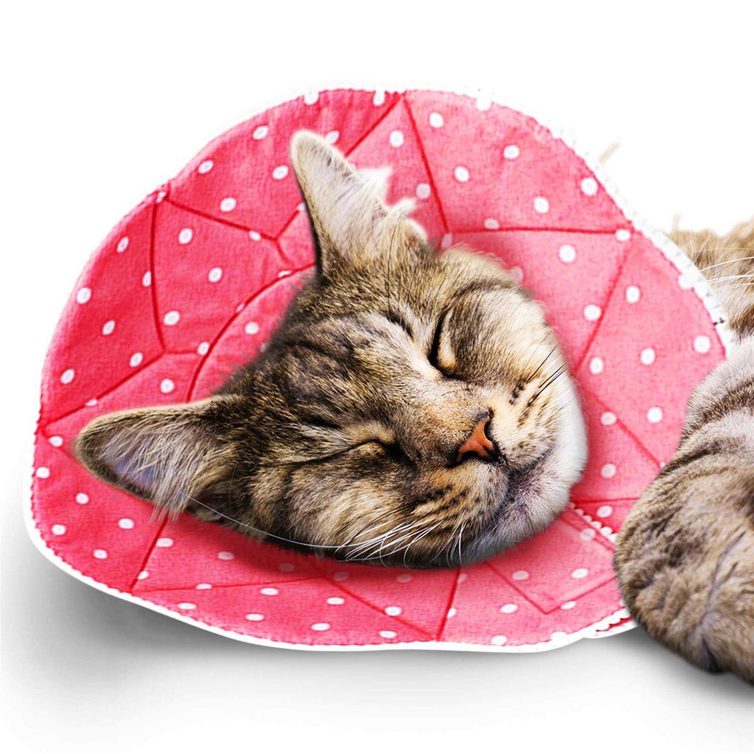 Soft e Collar for Small Dogs & Cats U534