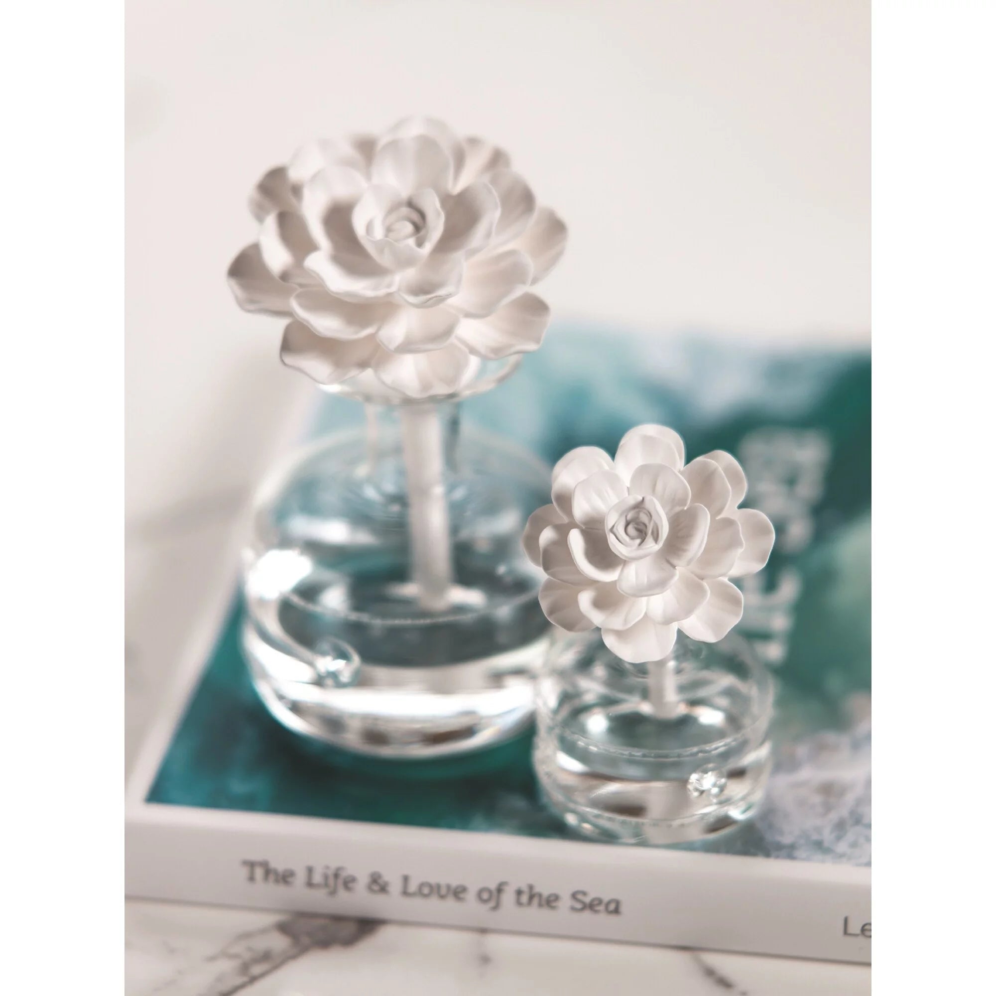 Porcelain Diffuser A58911