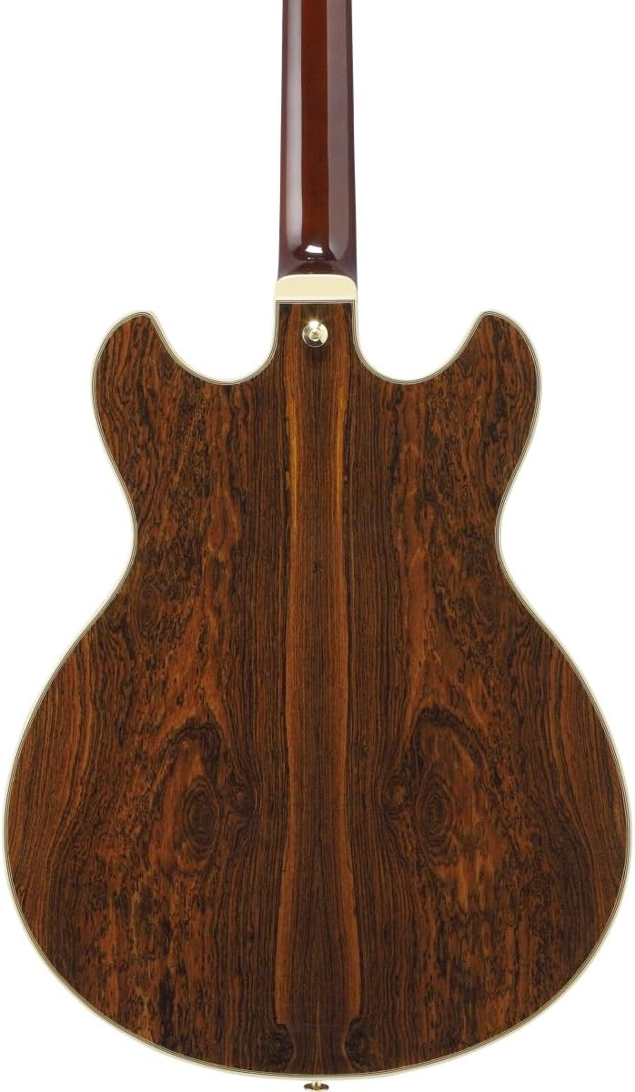 Black Semi-hollowbody Electric Guitar E4390