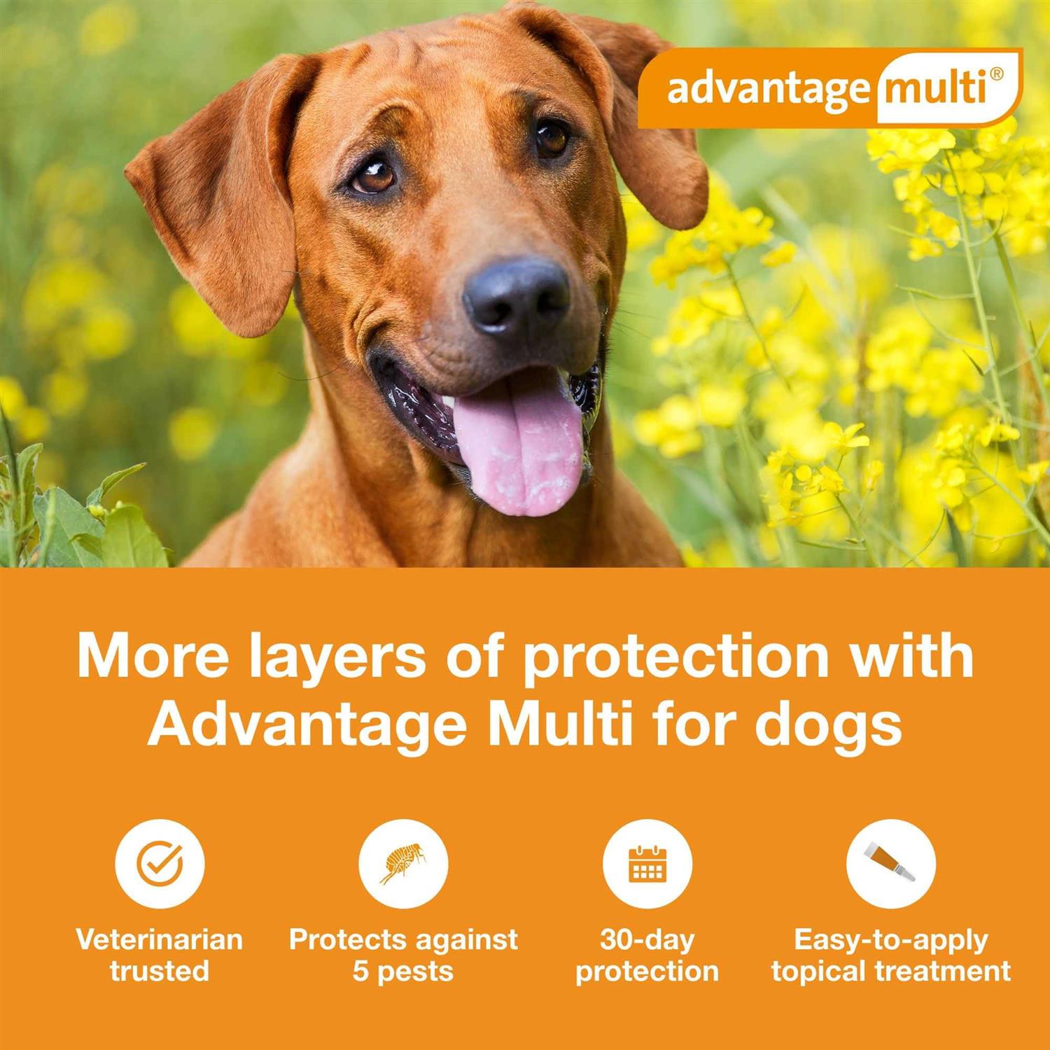 Advantage Multi for Dogs W129346