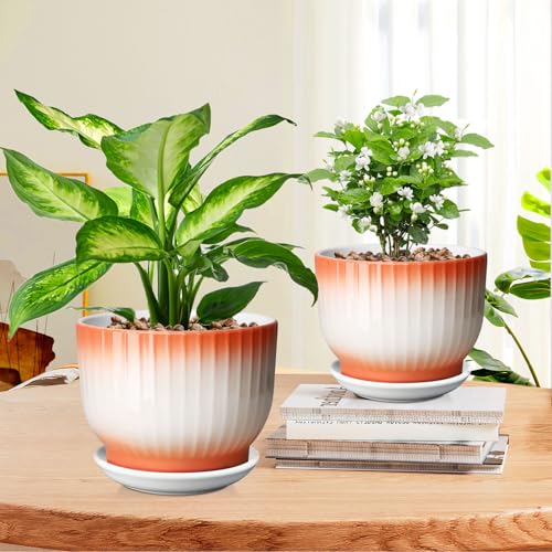 Blue White Ceramic Plant Pots Set of 2 W61747