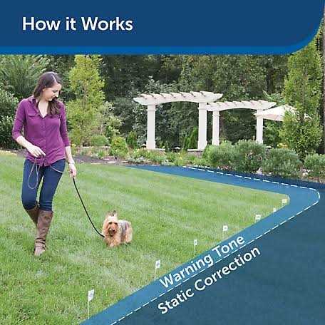 Stubborn Dog Receiver Collar K243932