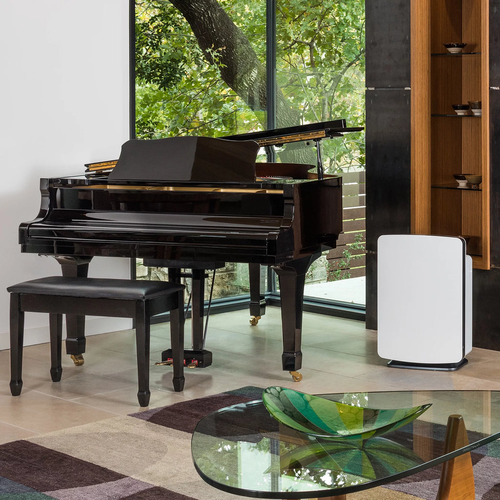 True HEPA Air Purifier X661139