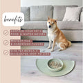Waterproof Silicone Pet Feeding Mat, Non-Slip, 21" x 10.5", Medium-Sage Green R96098