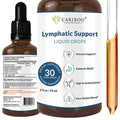Lymphatic Drainage Drops with Elderberry and Echinacea, 60 Servings - 4oz X173052