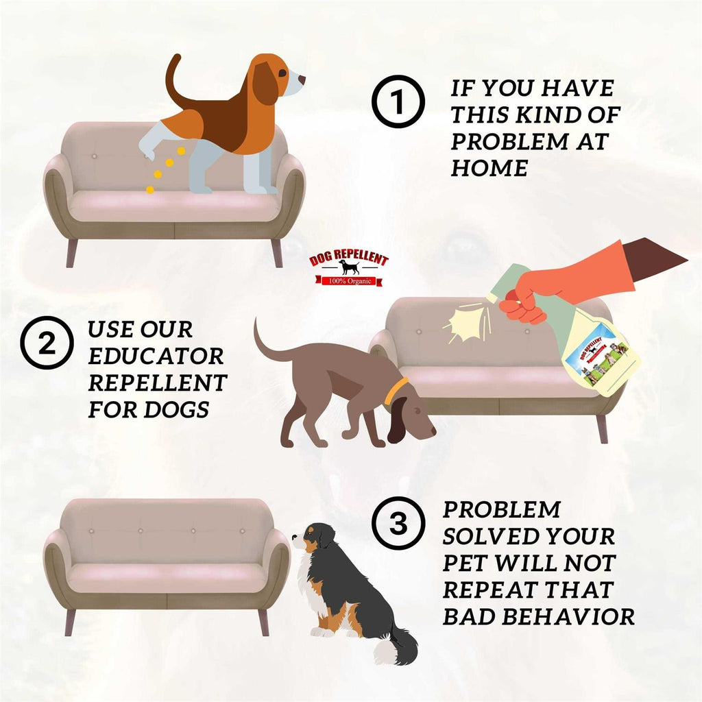 Dog Repellent Spray for Couch V36201