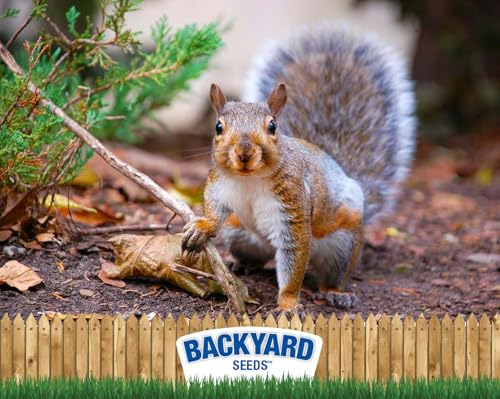 8 lb Squirrel & Chipmunk Food Mix with Sunflower Seeds, Peanuts & Corn G59866