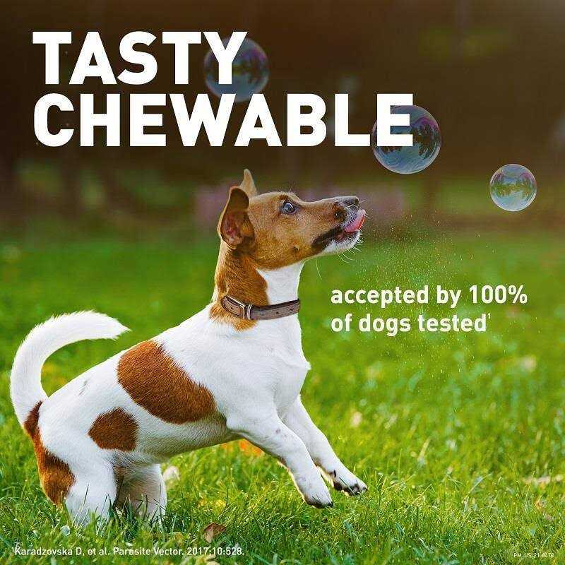 Chewable Tablet for Dogs 50.1-100 lbs L13149