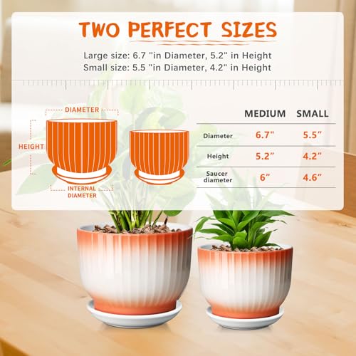 Blue White Ceramic Plant Pots Set of 2 W61747