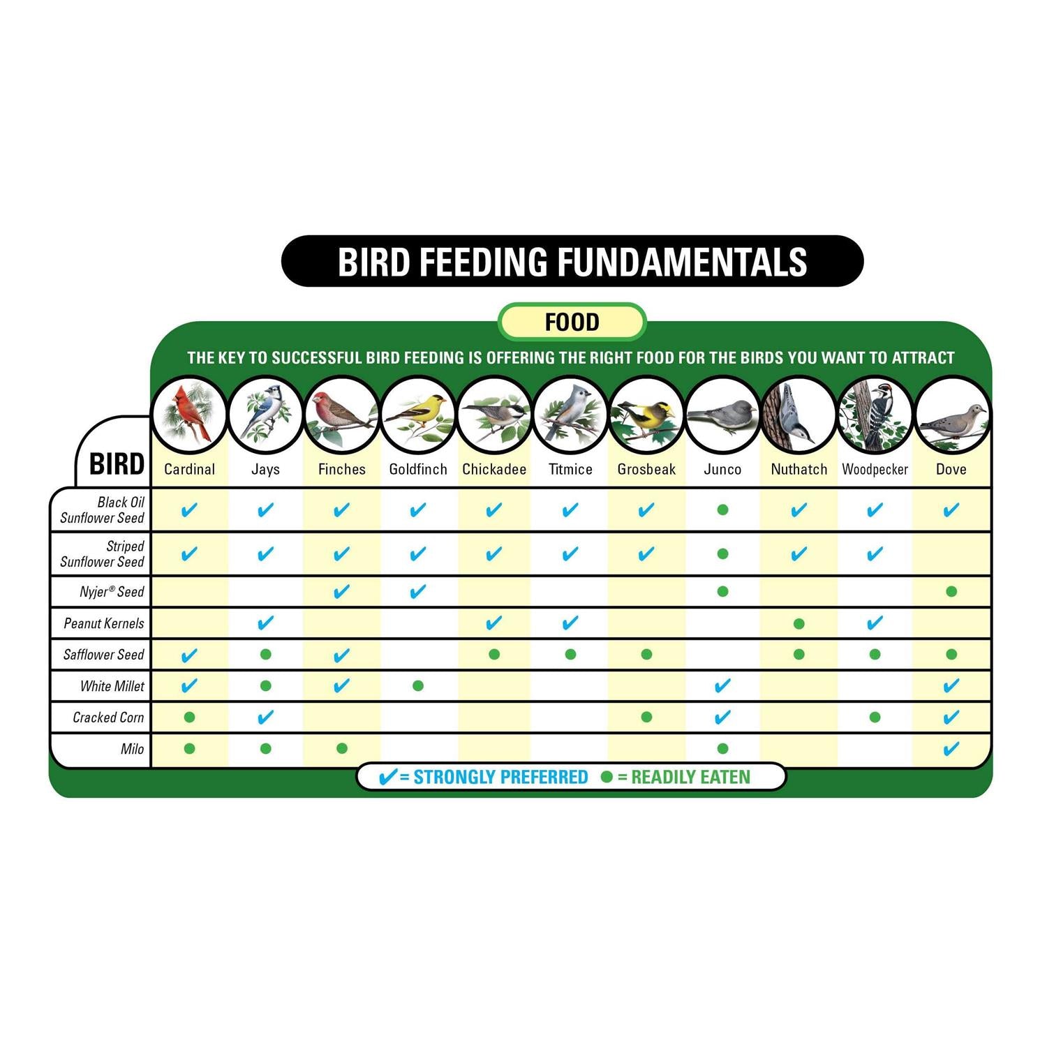 Eastern Regional Wild Bird Food U761