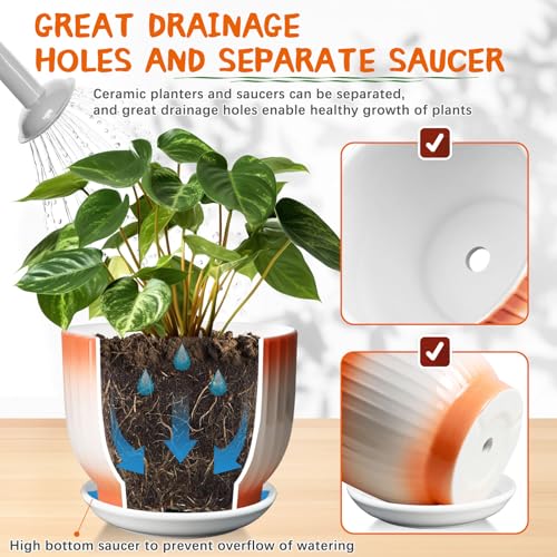 Blue White Ceramic Plant Pots Set of 2 W61747